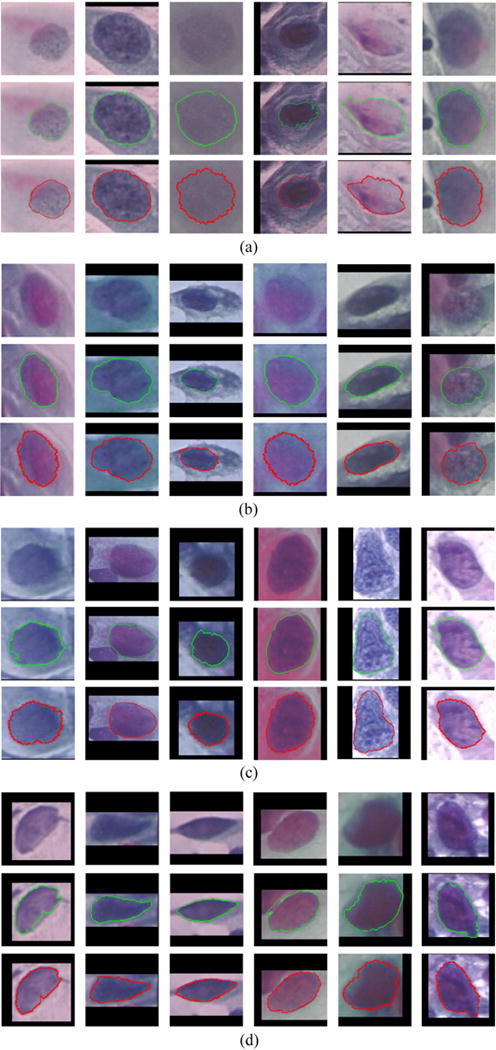 Fig. 8