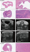 Fig. 7