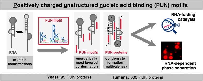 Graphical Abstract