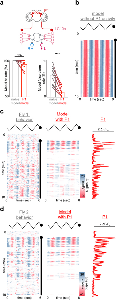 Extended Data Figure 13 |