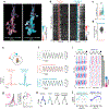 Extended Data Figure 11 |