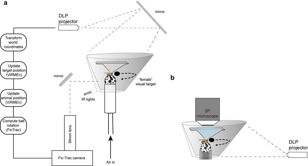 Extended Data Figure 1 |