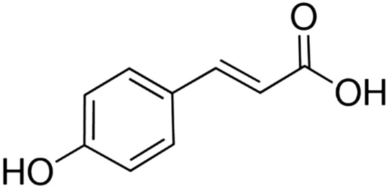 Fig. 18