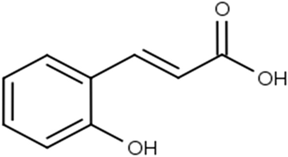 Fig. 19