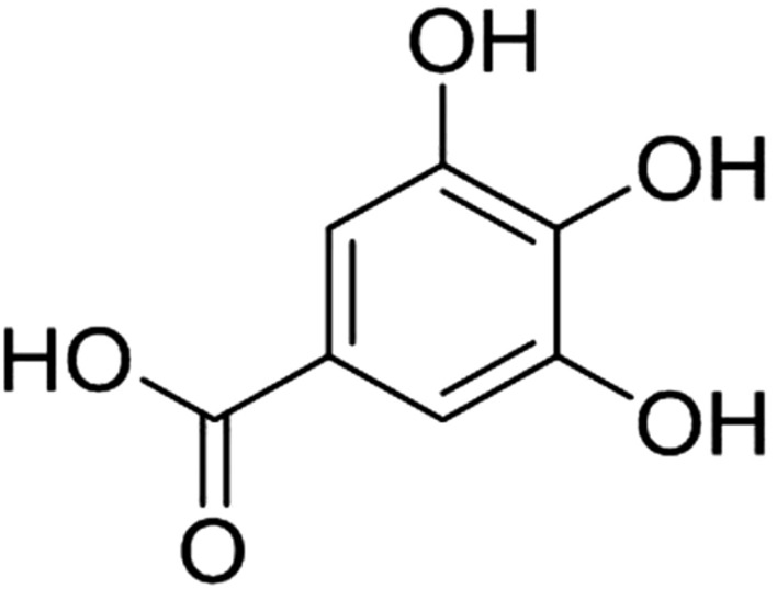 Fig. 10