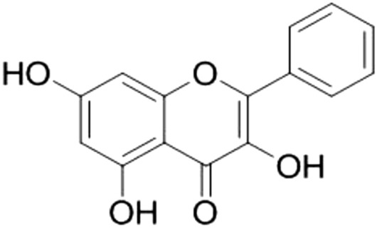 Fig. 17