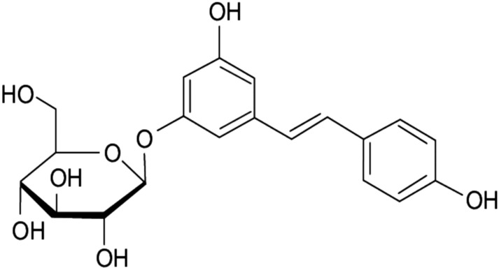 Fig. 21