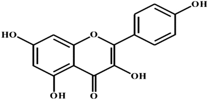 Fig. 5