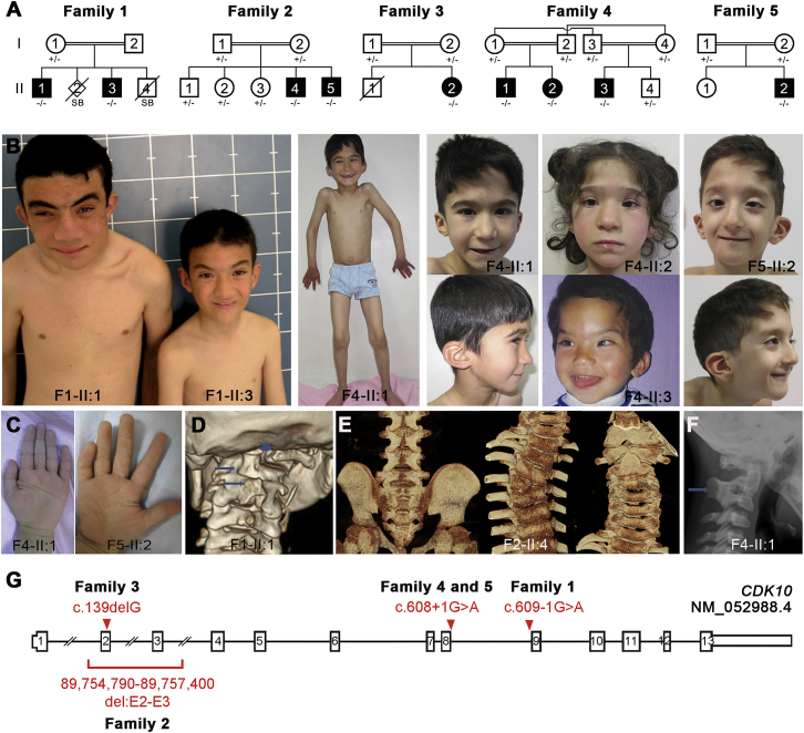 Figure 1