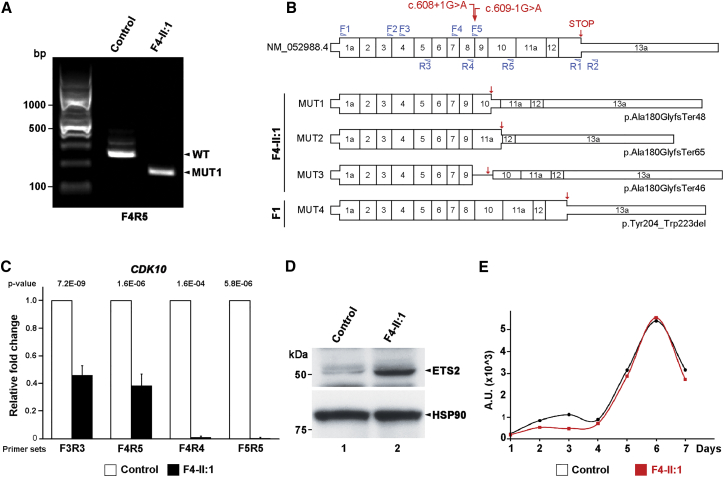 Figure 2