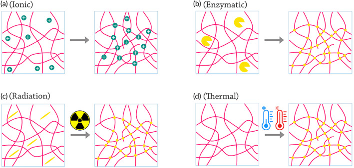 FIGURE 3