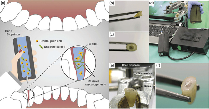 FIGURE 15