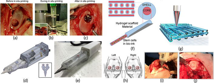 FIGURE 11