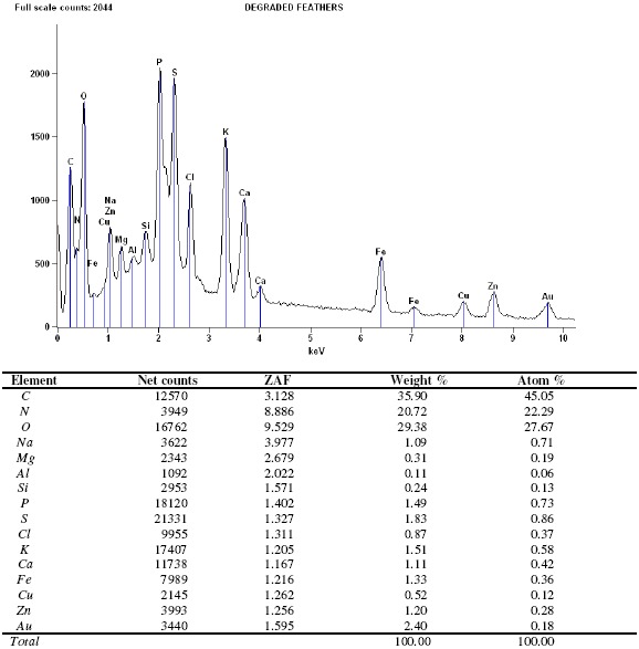 Figure 5b