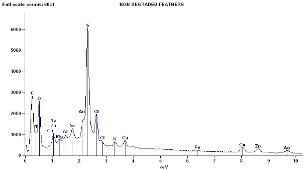 Figure 5a