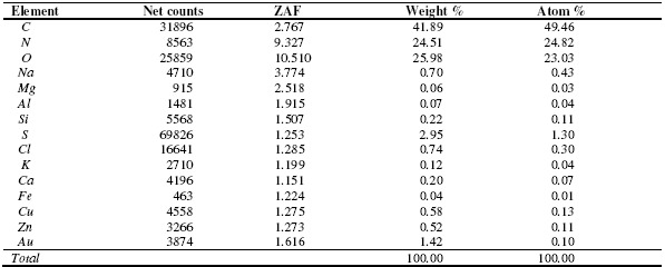 Figure 5a