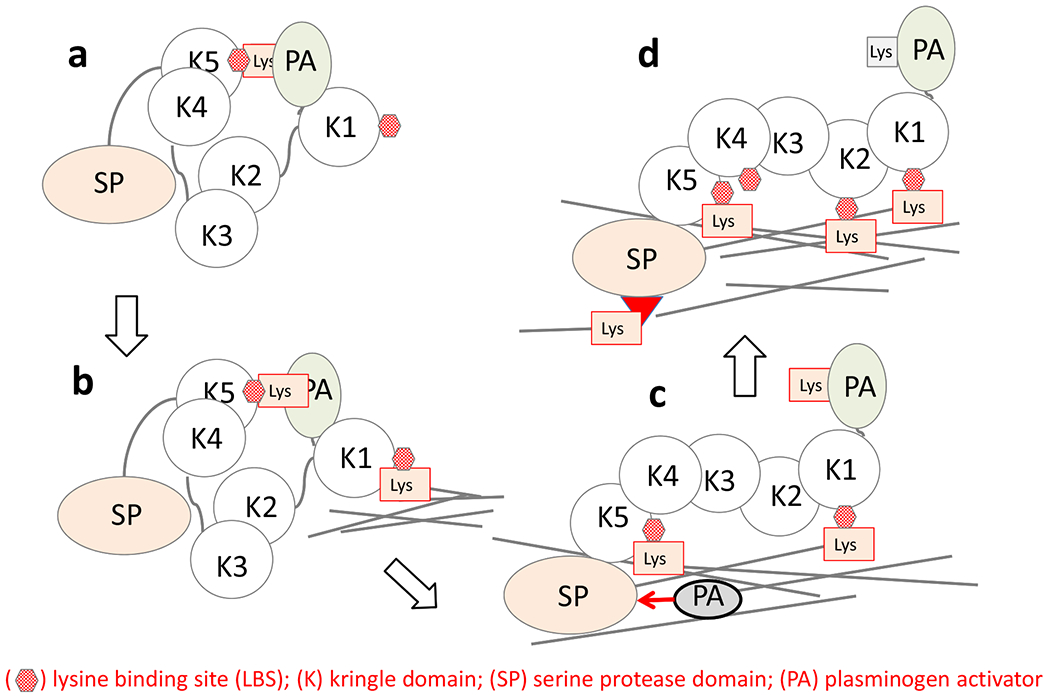 Fig. (1).