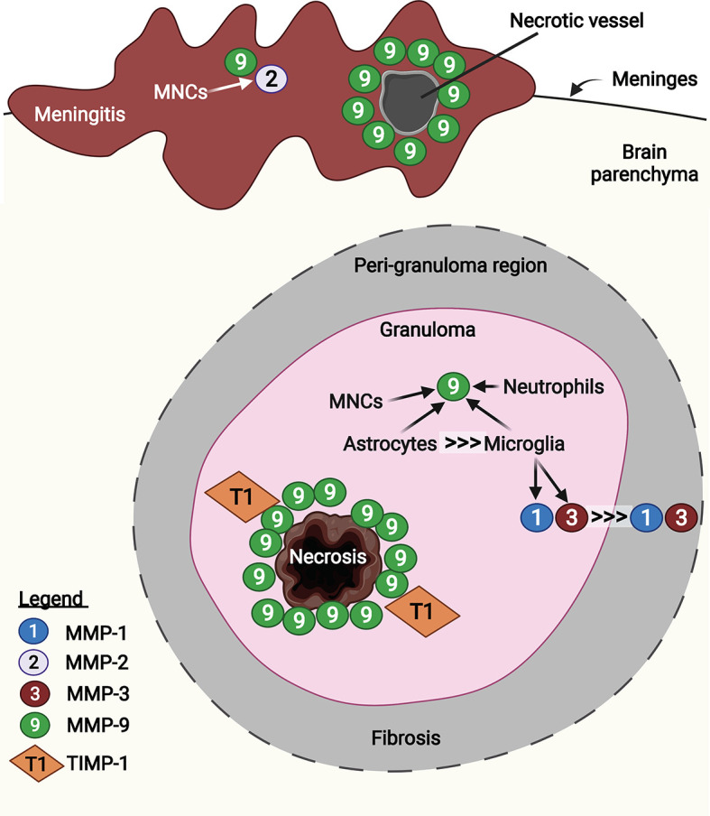 Figure 6