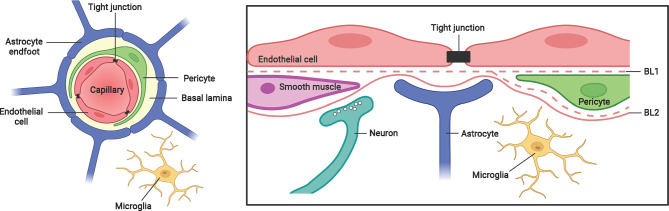 Figure 1