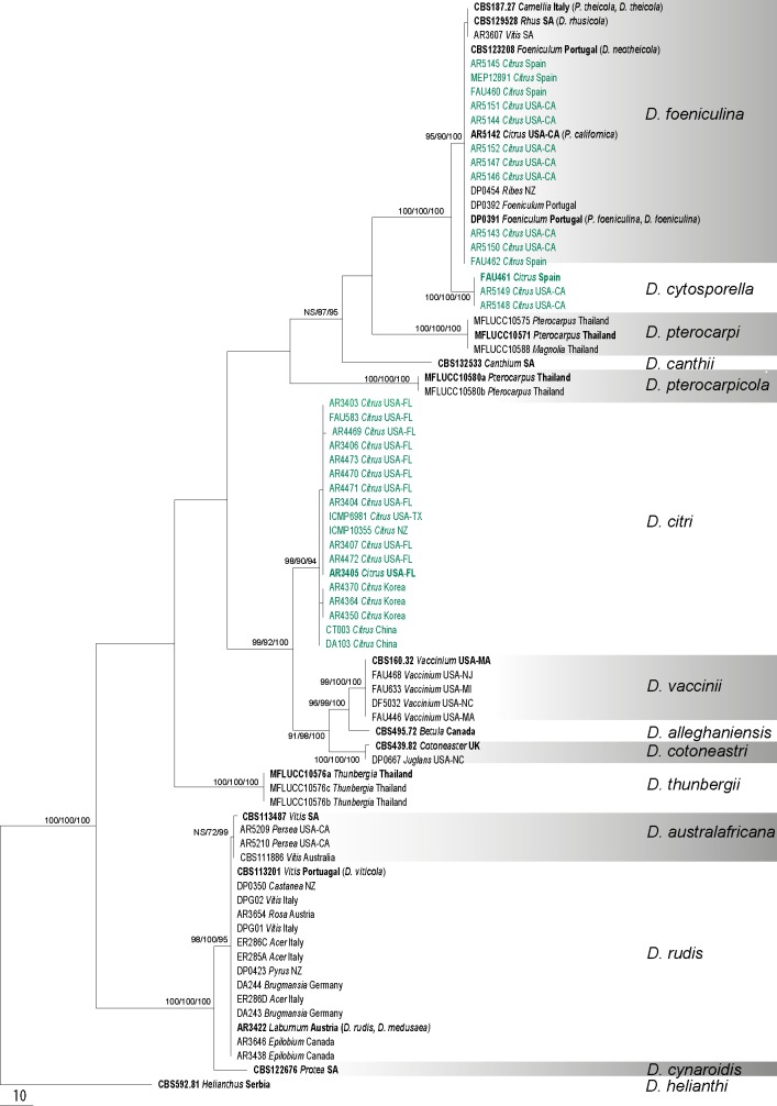 Fig. 2