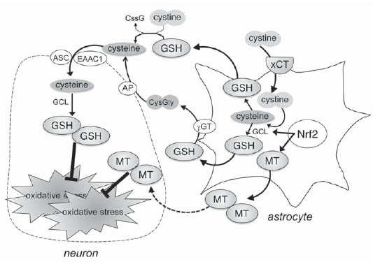 Fig. (1)