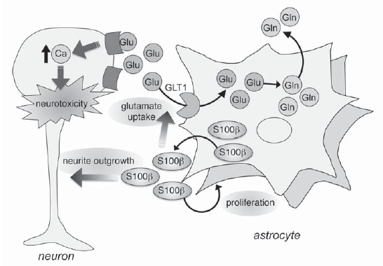 Fig. (2)