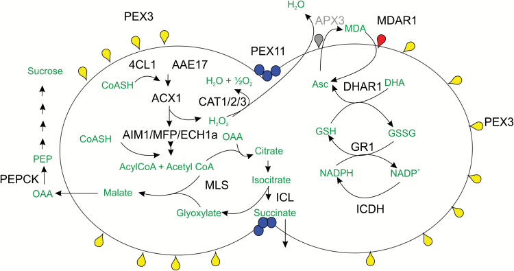 Fig. 2.