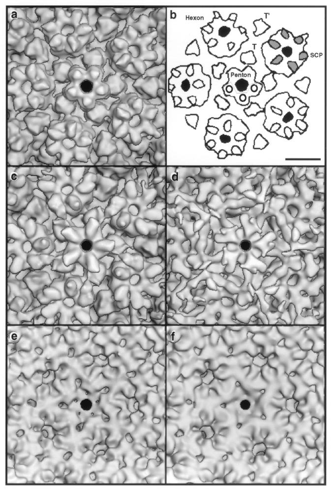 FIG. 6