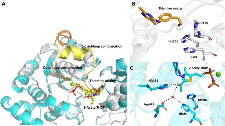 Figure 5