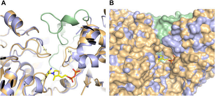 Figure 4