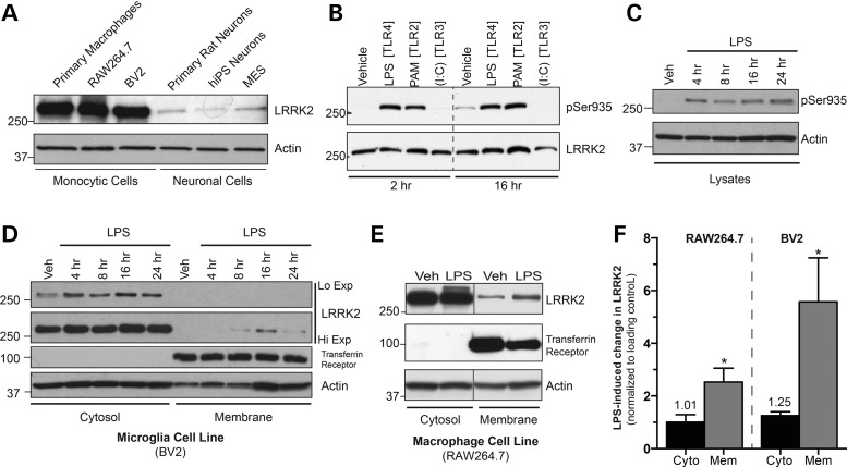 Figure 1.