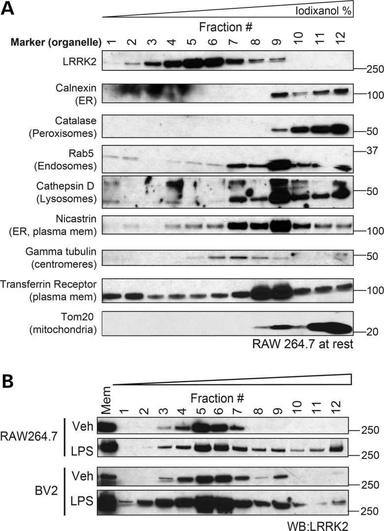 Figure 4.