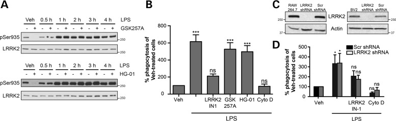 Figure 3.