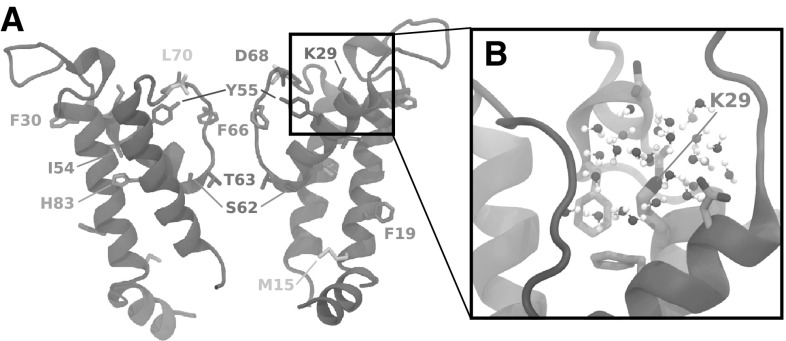 Fig. 3