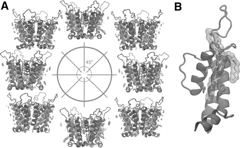 Fig. 10