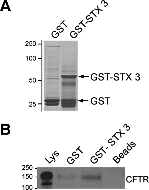 Fig. 8.