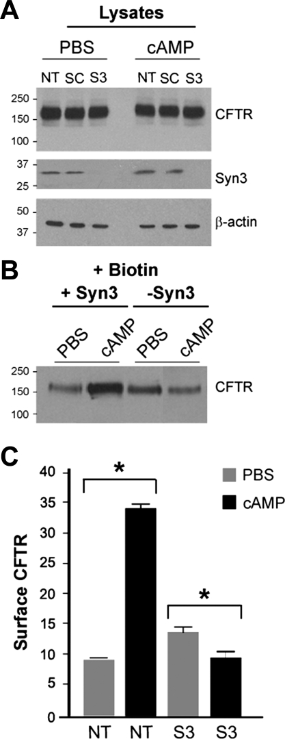 Fig. 9.