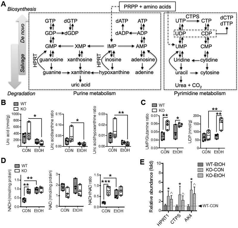 Fig. 6.