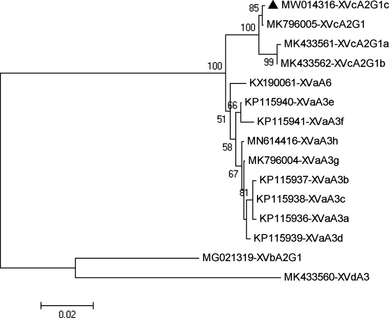 Figure 2