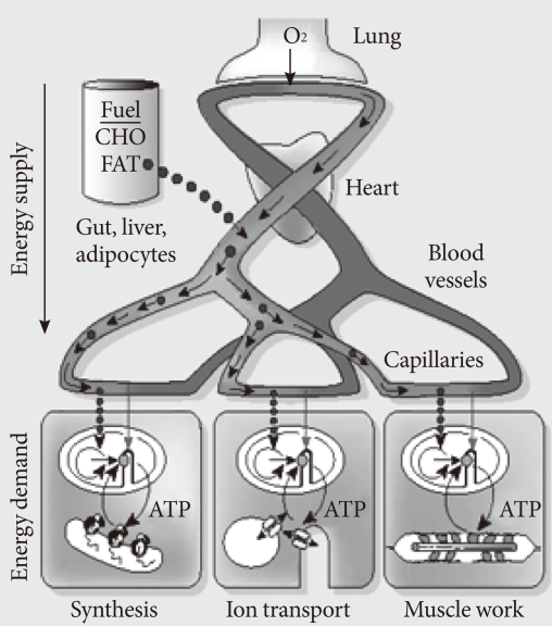 Fig. 3