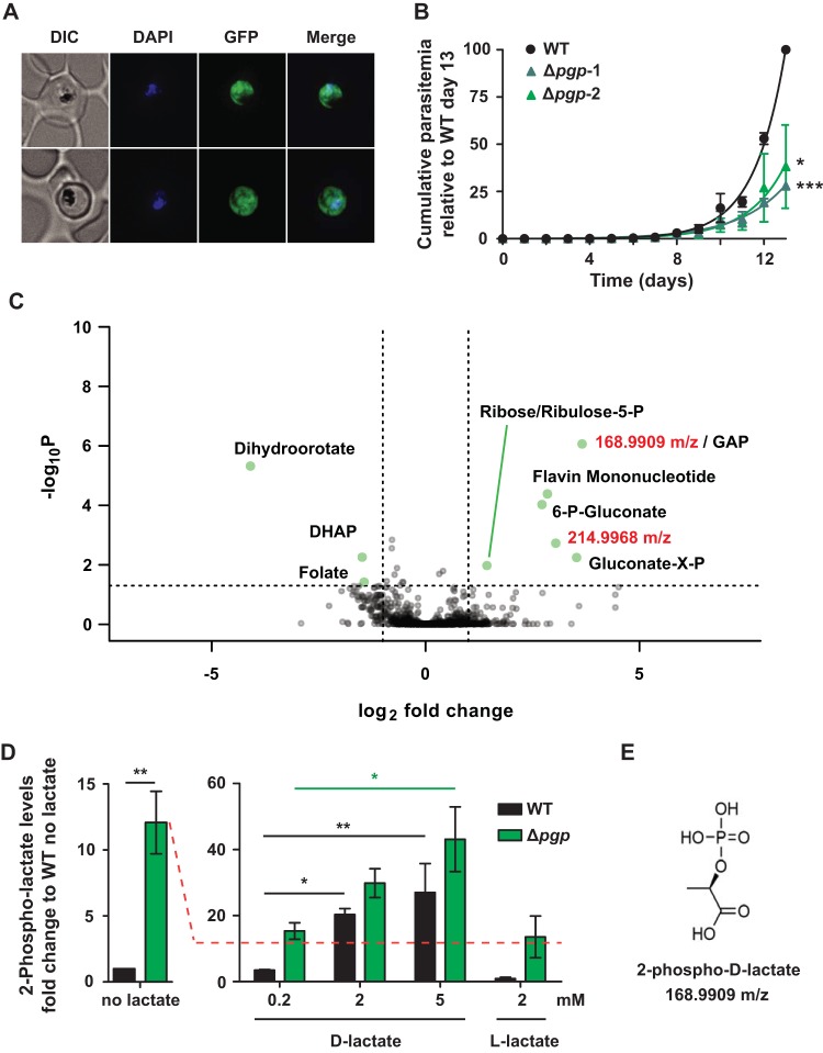 FIG 1