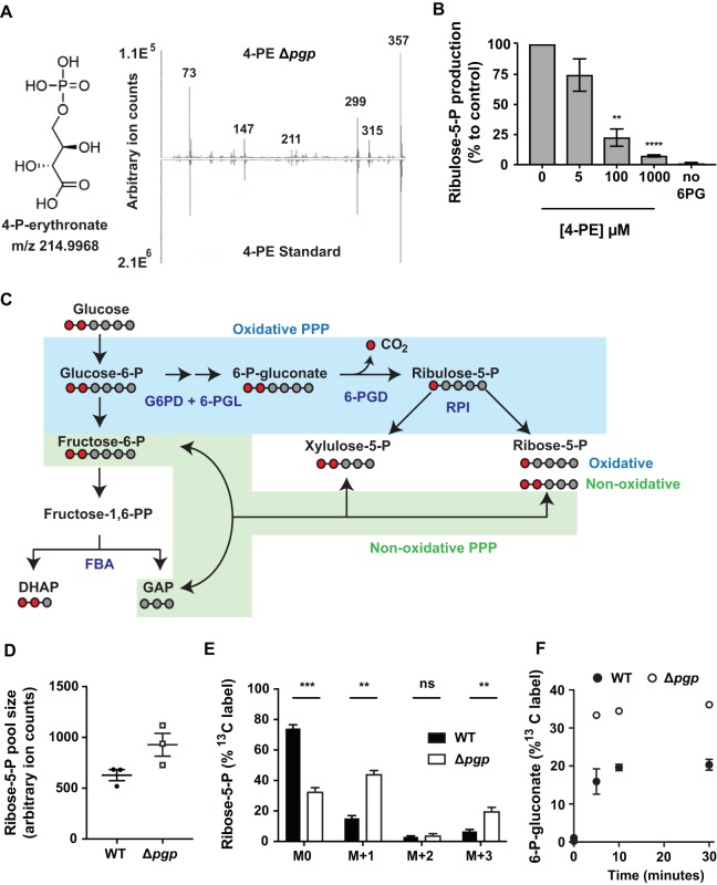 FIG 3