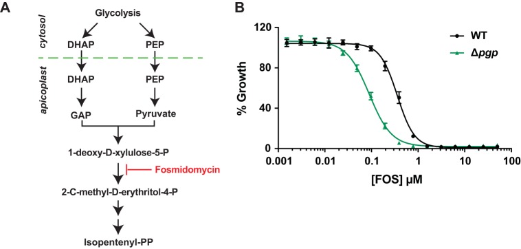 FIG 5