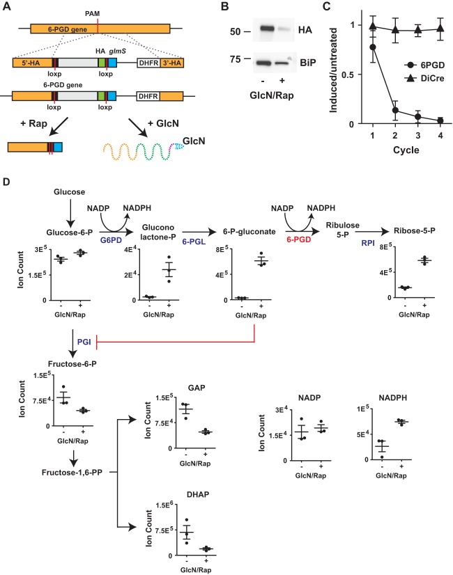 FIG 4