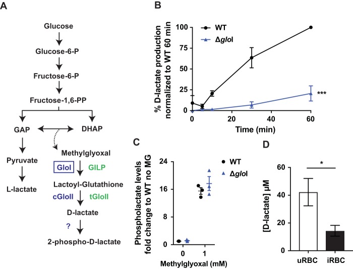 FIG 2