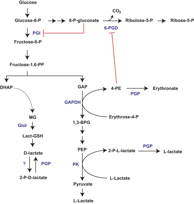 FIG 6