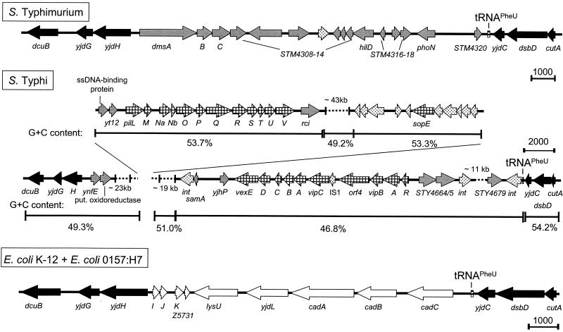 FIG. 4.