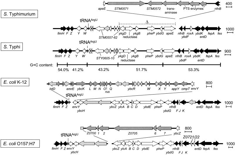 FIG. 2.