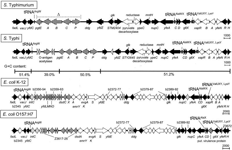 FIG. 3.