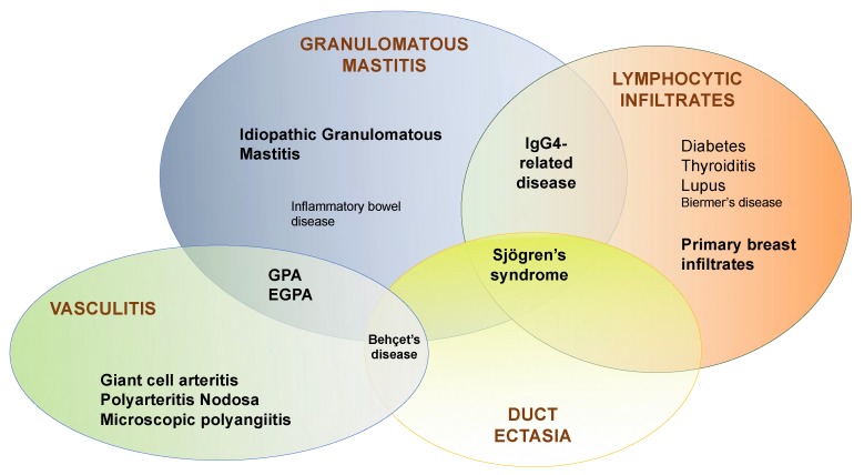 Mastitis in Autoimmune Diseases: Review of the Literature, Diagnostic ...